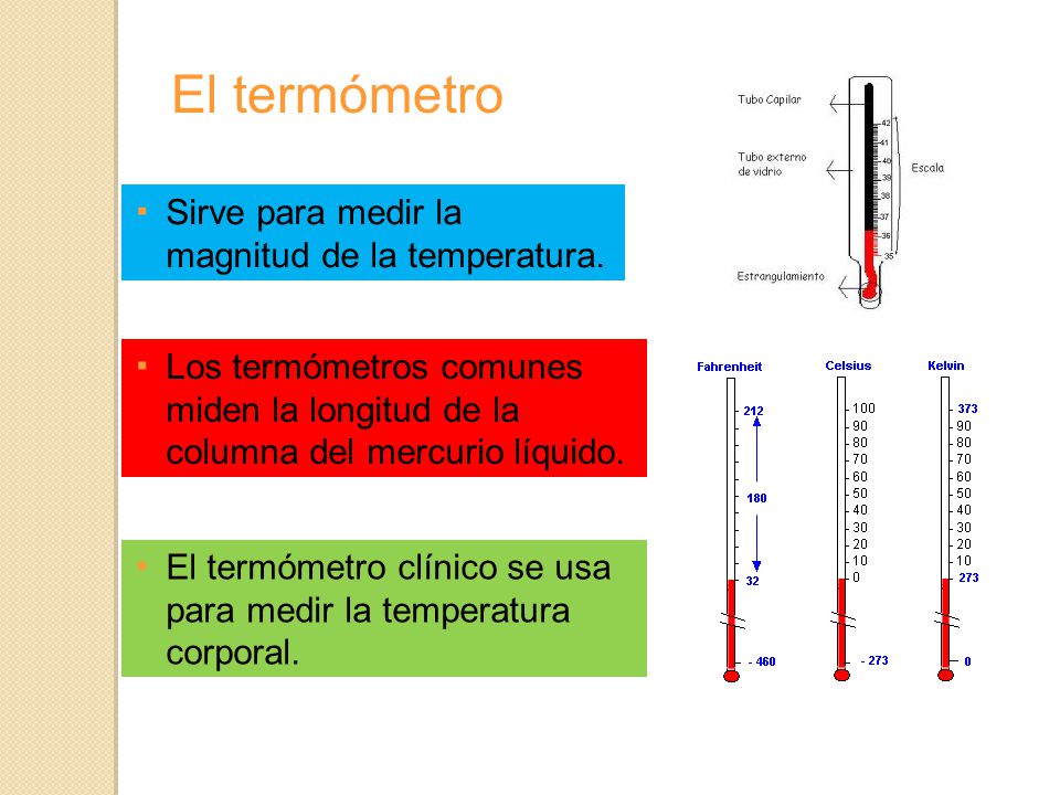 El termómetro ▪ Sirve para medir la magnitud de la temperatura.