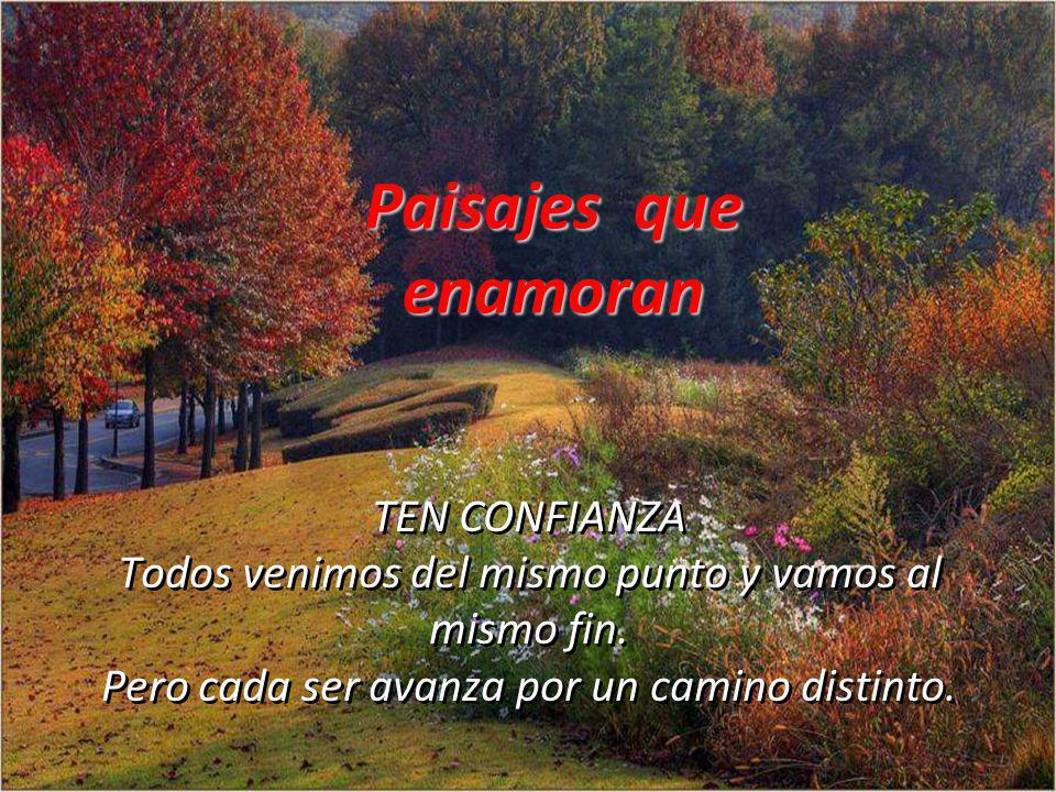 Paisajes que enamoran TEN CONFIANZA Todos venimos del mismo punto y vamos al mismo fin. Pero cada ser avanza por un camino distinto.