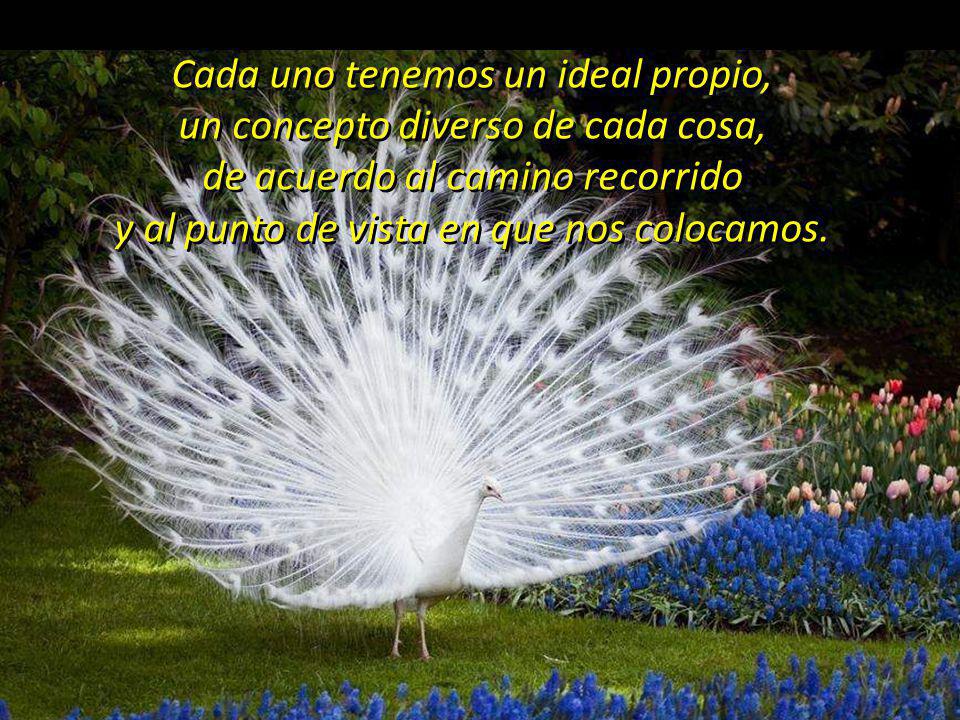Cada uno tenemos un ideal propio, un concepto diverso de cada cosa,