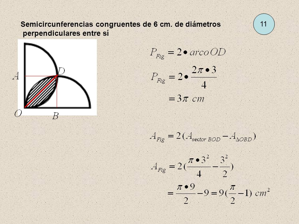 11 Semicircunferencias congruentes de 6 cm. de diámetros perpendiculares entre sí