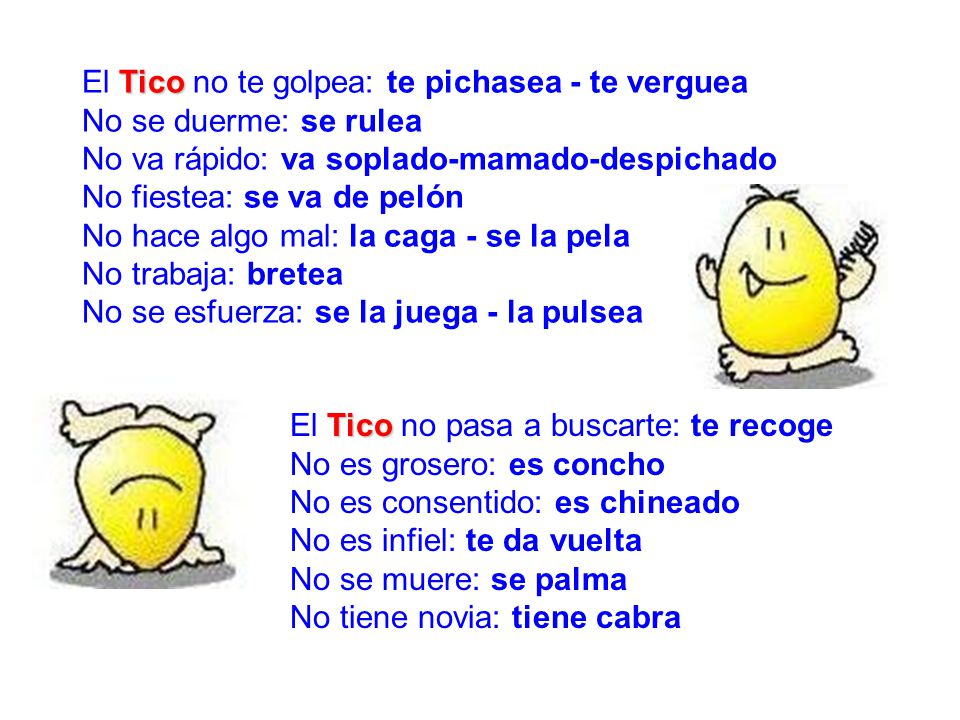 El Tico no te golpea: te pichasea - te verguea