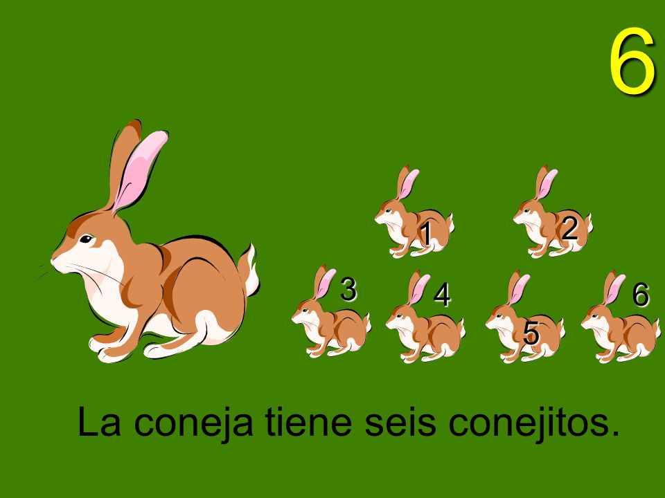 La coneja tiene seis conejitos.