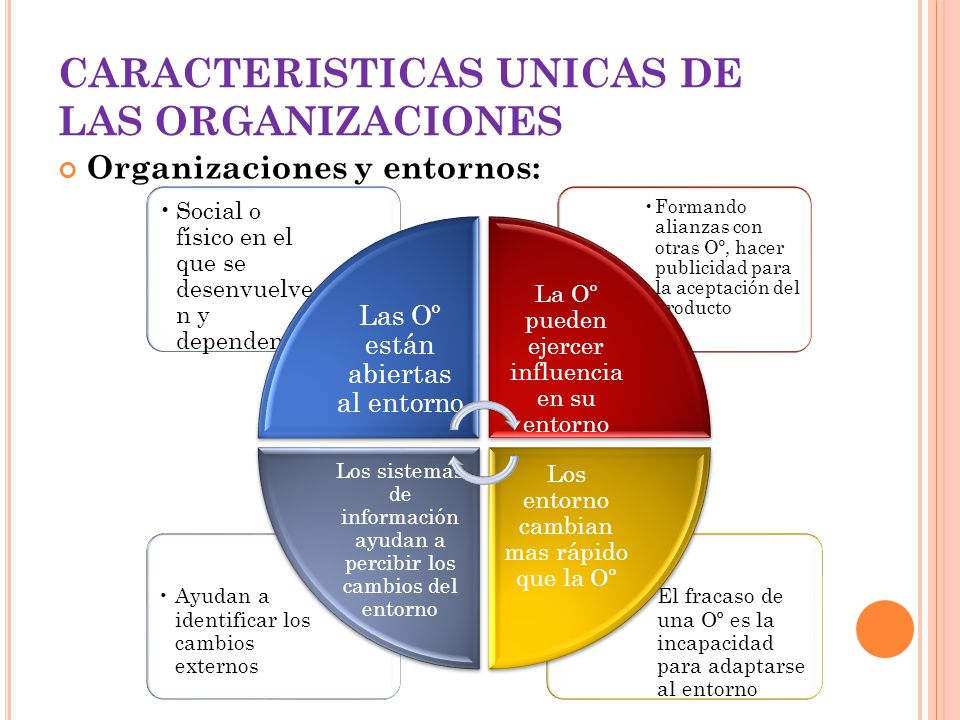 CARACTERISTICAS UNICAS DE LAS ORGANIZACIONES