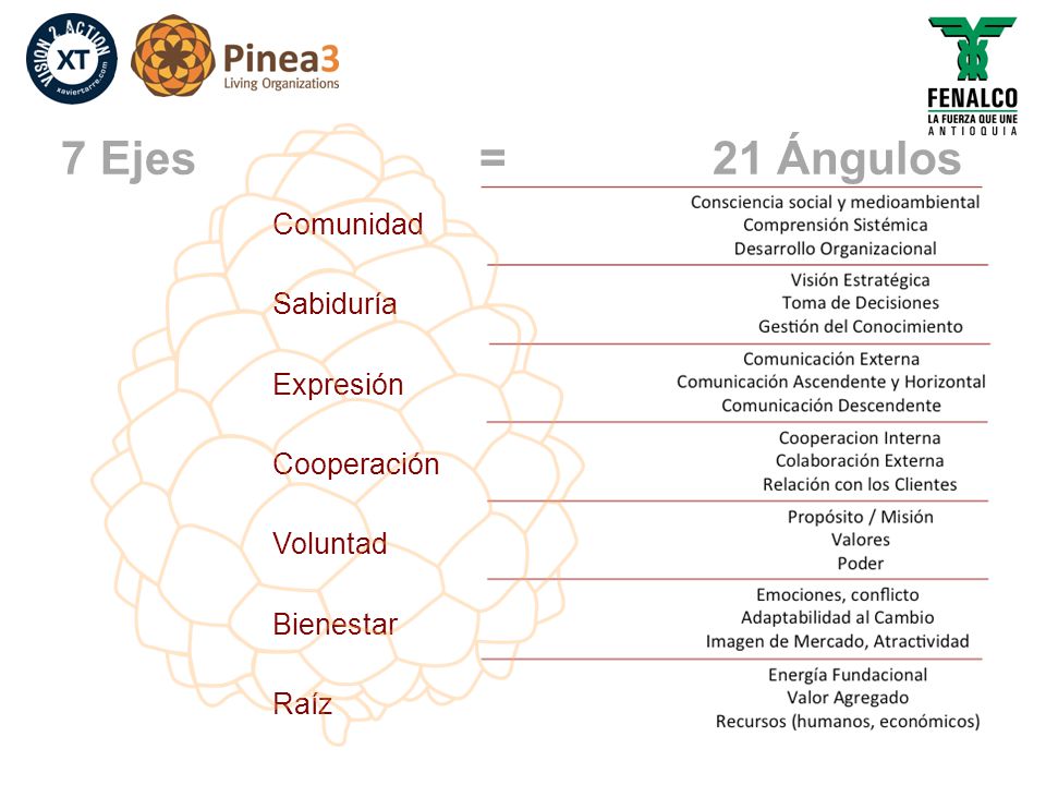7 Ejes = 21 Ángulos Comunidad Sabiduría Expresión Cooperación Voluntad