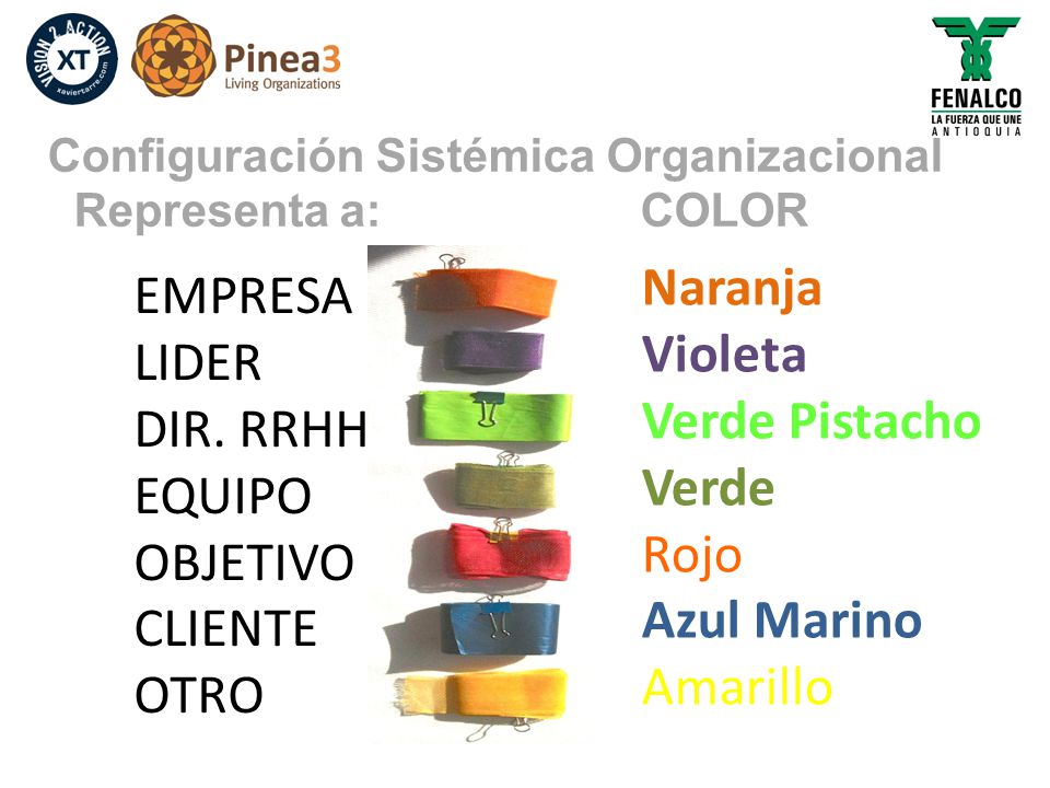 Naranja EMPRESA Violeta LIDER Verde Pistacho DIR. RRHH Verde EQUIPO