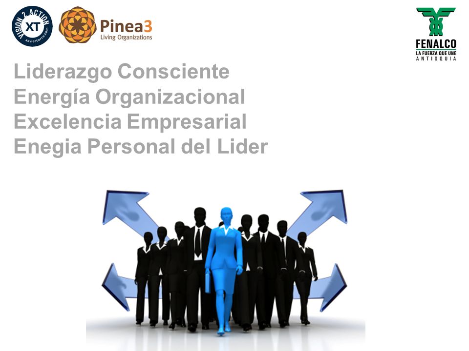 Liderazgo Consciente Energía Organizacional Excelencia Empresarial Enegia Personal del Lider