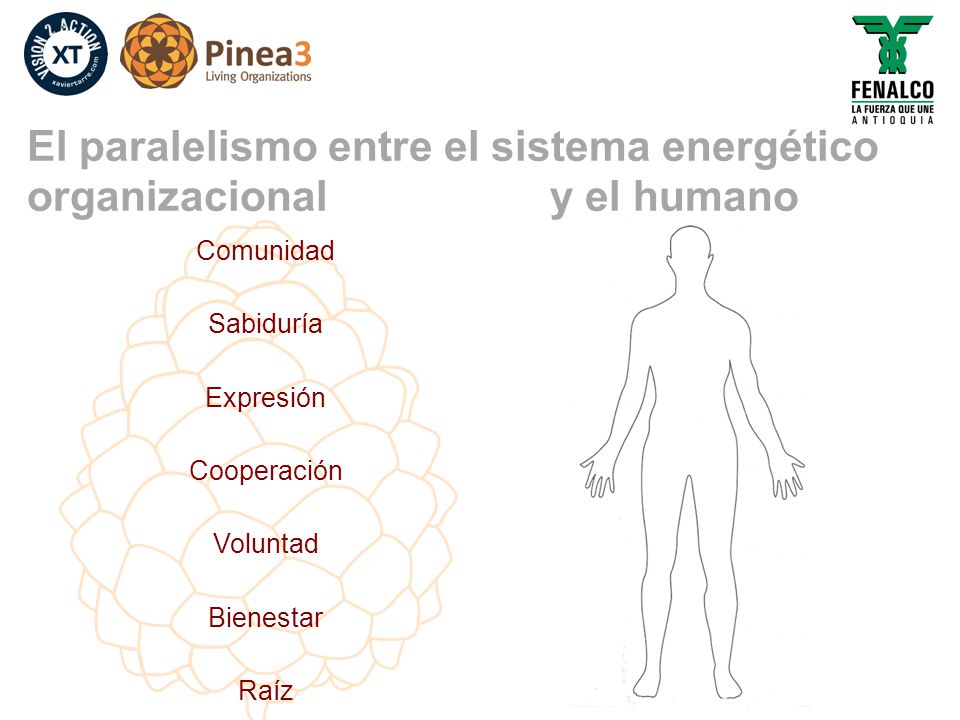 El paralelismo entre el sistema energético organizacional y el humano