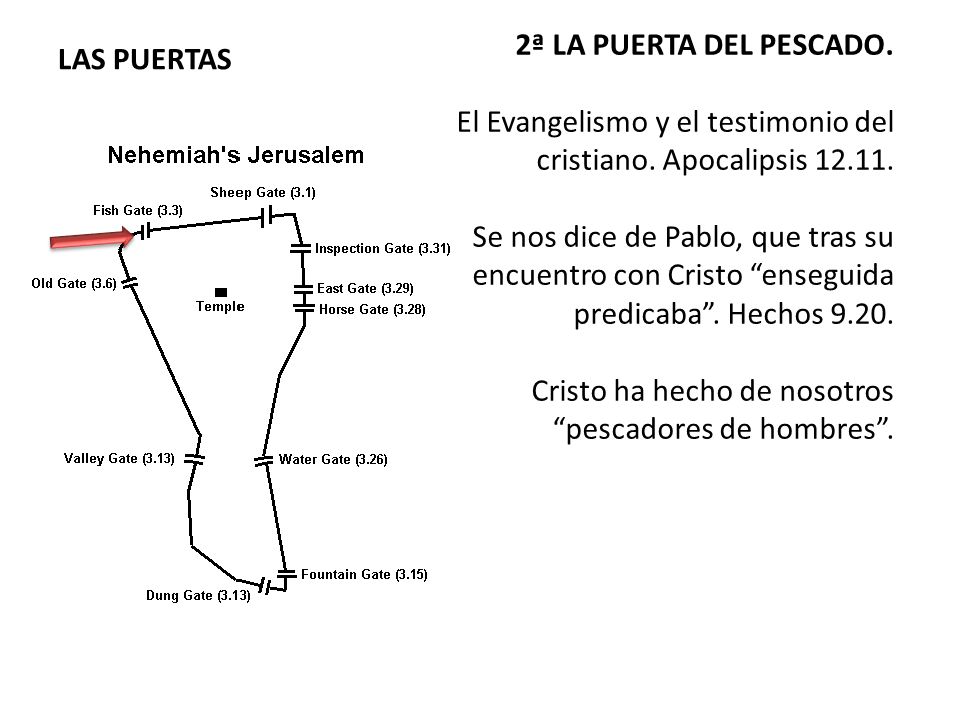 2ª LA PUERTA DEL PESCADO. El Evangelismo y el testimonio del cristiano. Apocalipsis