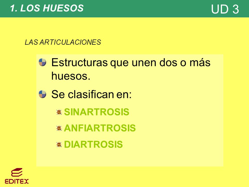 Estructuras que unen dos o más huesos. Se clasifican en: