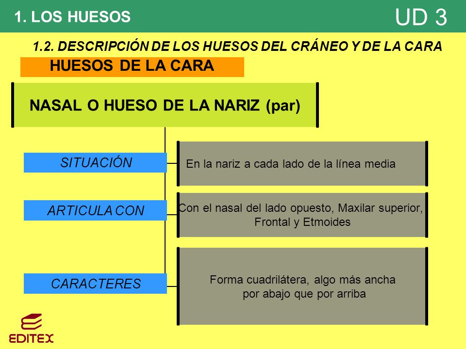 1.2. DESCRIPCIÓN DE LOS HUESOS DEL CRÁNEO Y DE LA CARA