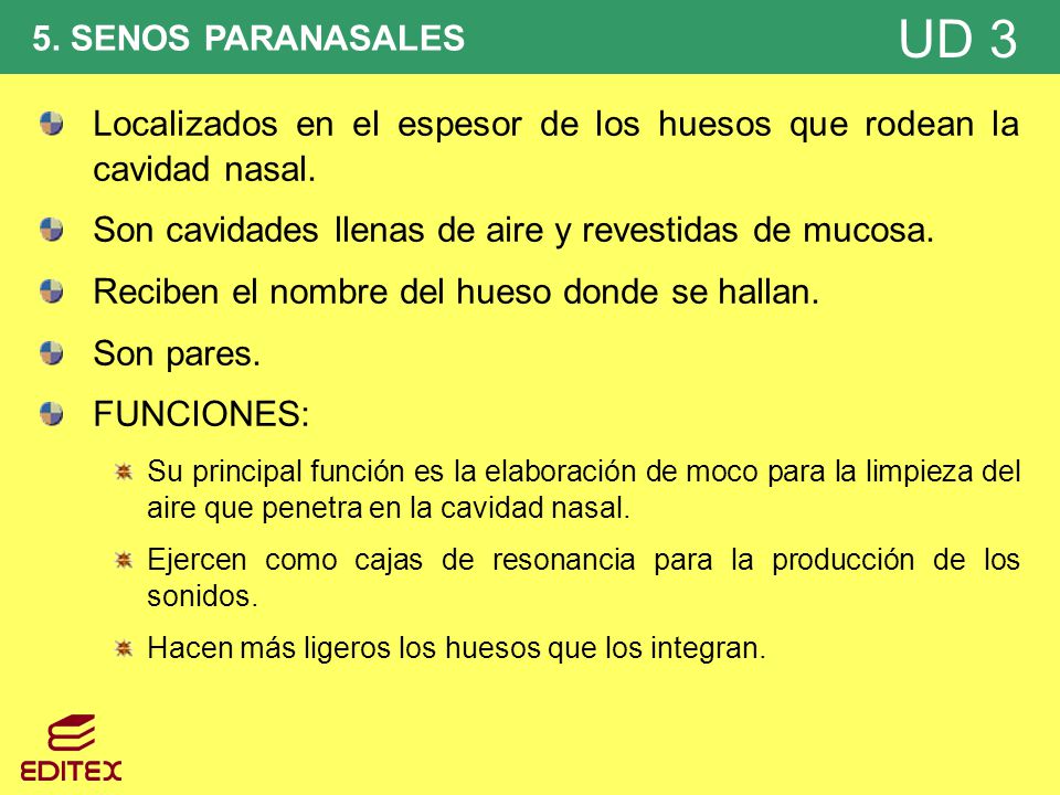 Localizados en el espesor de los huesos que rodean la cavidad nasal.
