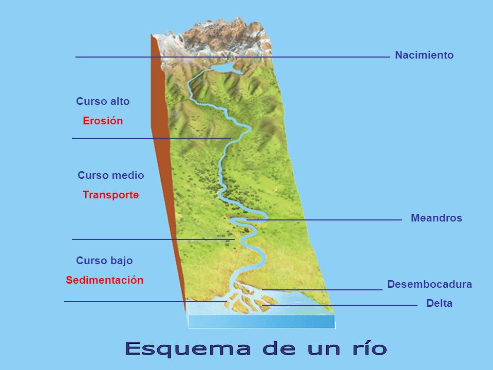 Esquema de un río Nacimiento Curso alto Erosión Curso medio Transporte
