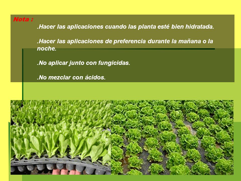 Nota : .Hacer las aplicaciones cuando las planta esté bien hidratada. .Hacer las aplicaciones de preferencia durante la mañana o la noche.