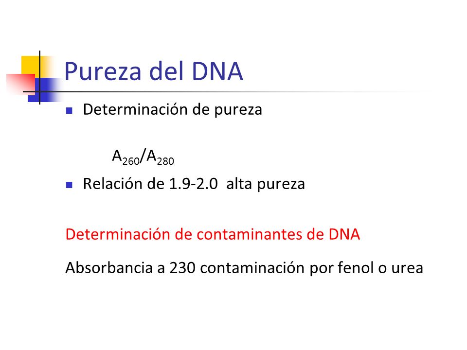 Pureza del DNA Determinación de pureza A260/A280