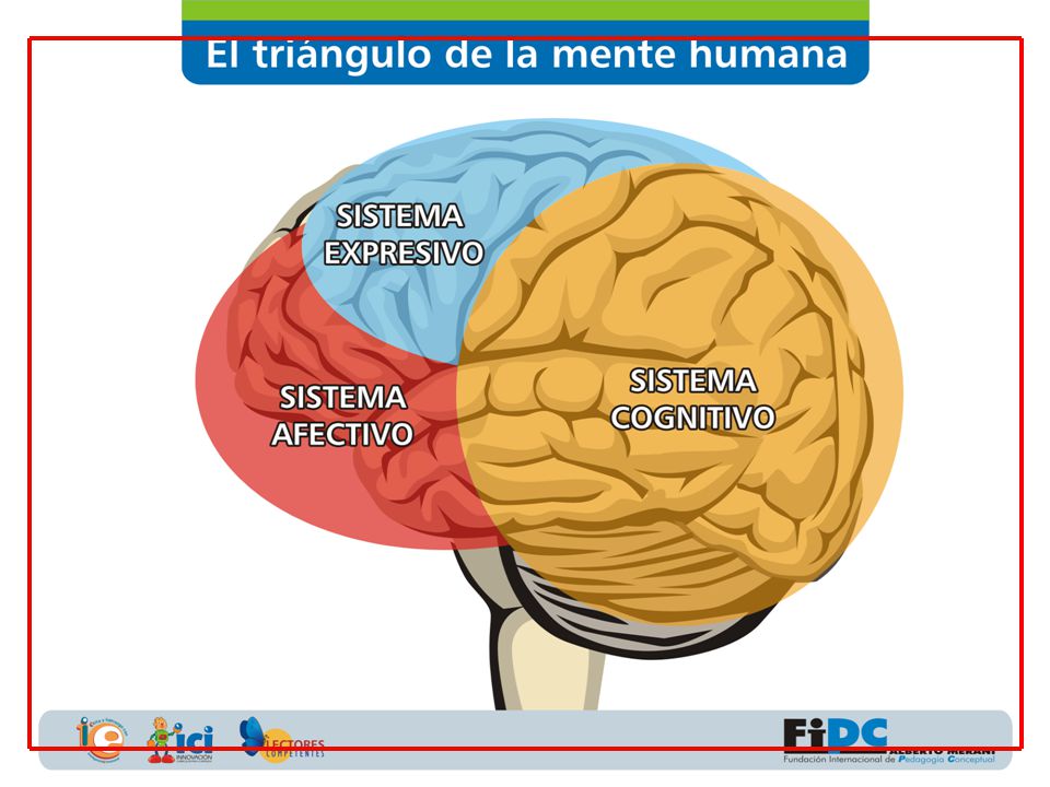 Señale los tres sistemas en esta diapositiva, explicando que los tres sistemas están presentes en la mente humana.