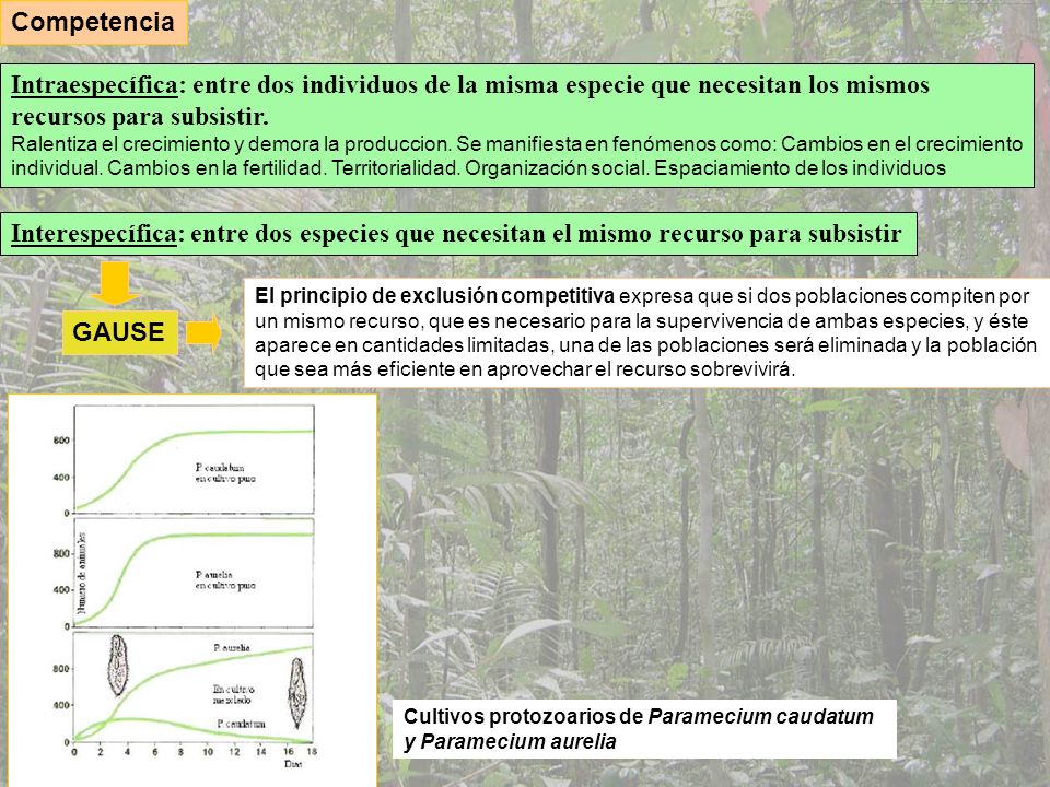 Competencia Intraespecífica: entre dos individuos de la misma especie que necesitan los mismos recursos para subsistir.