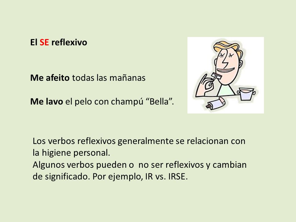 El SE reflexivo Me afeito todas las mañanas. Me lavo el pelo con champú Bella .
