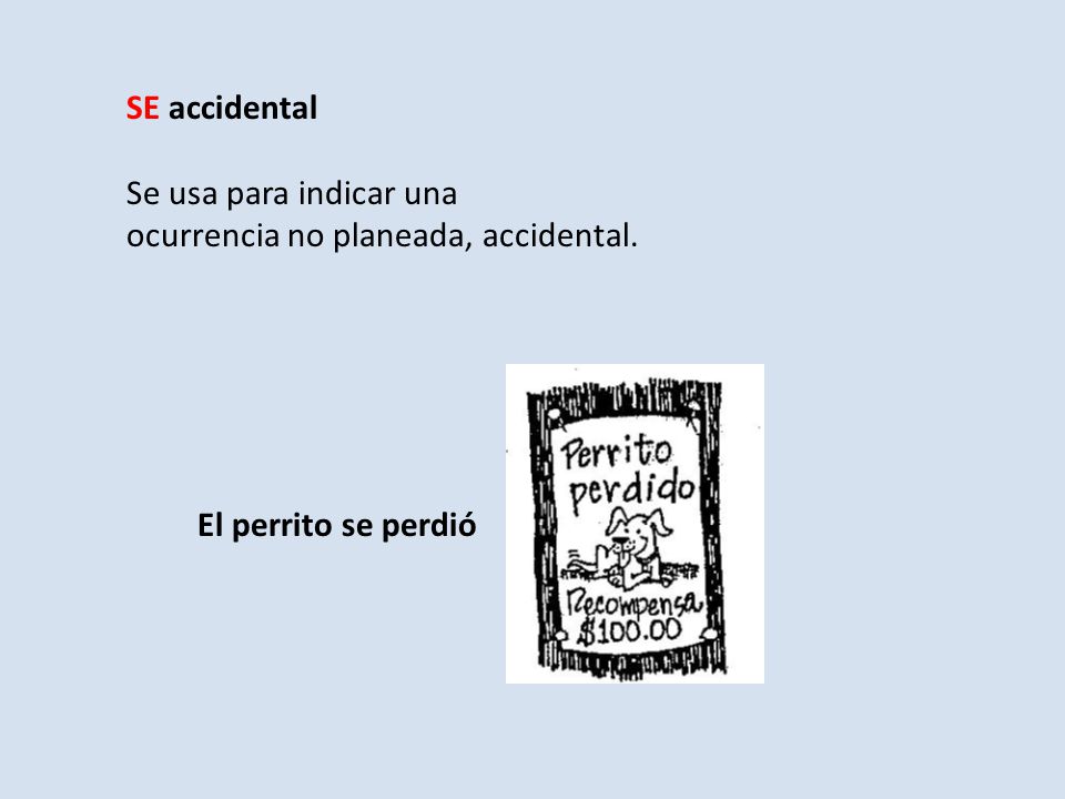 SE accidental Se usa para indicar una ocurrencia no planeada, accidental. El perrito se perdió