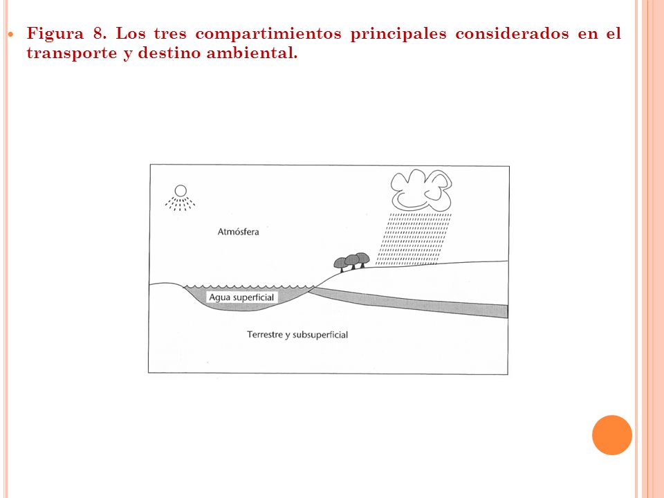 Figura 8. Los tres compartimientos principales considerados en el transporte y destino ambiental.