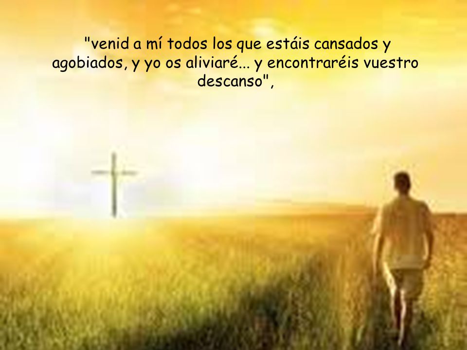 venid a mí todos los que estáis cansados y agobiados, y yo os aliviaré...