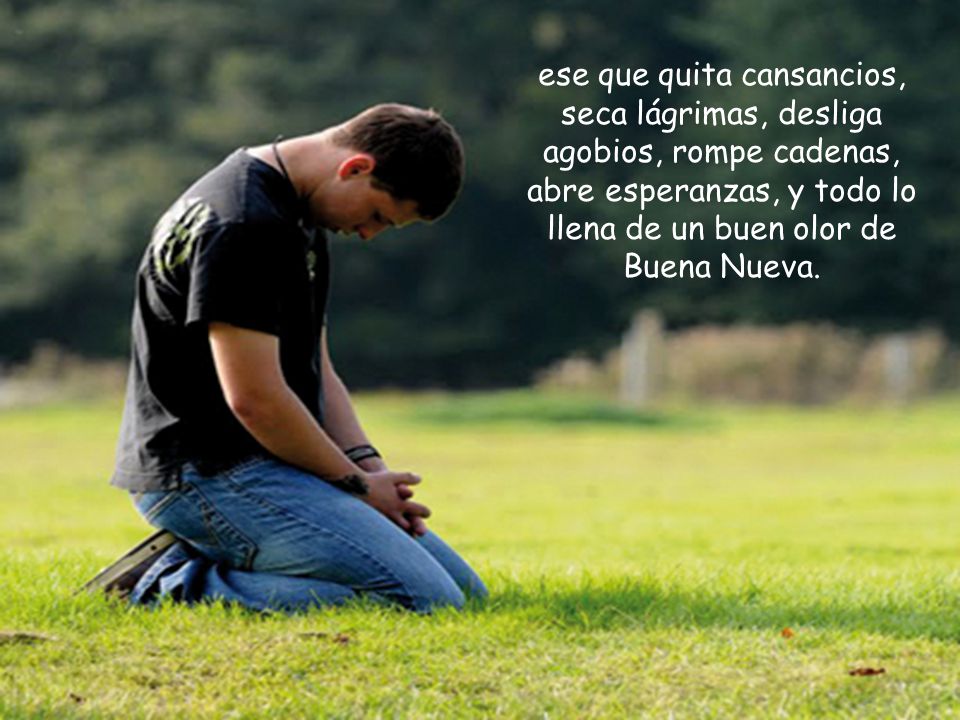 ese que quita cansancios, seca lágrimas, desliga agobios, rompe cadenas, abre esperanzas, y todo lo llena de un buen olor de Buena Nueva.
