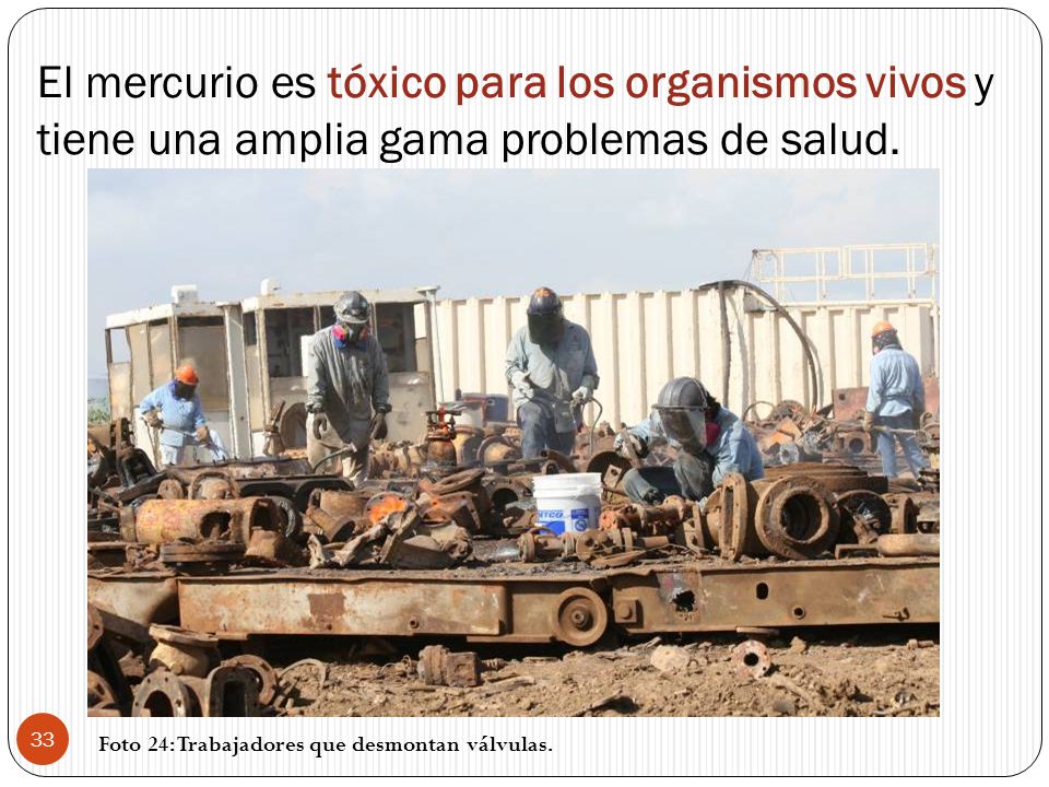 El mercurio es tóxico para los organismos vivos y tiene una amplia gama problemas de salud.