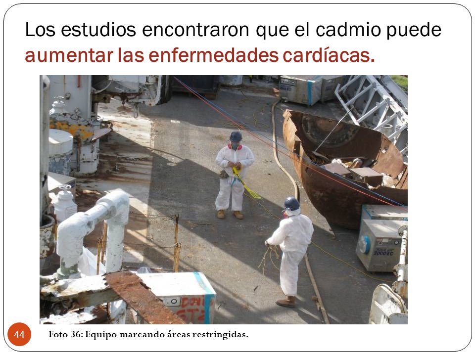 Los estudios encontraron que el cadmio puede aumentar las enfermedades cardíacas.