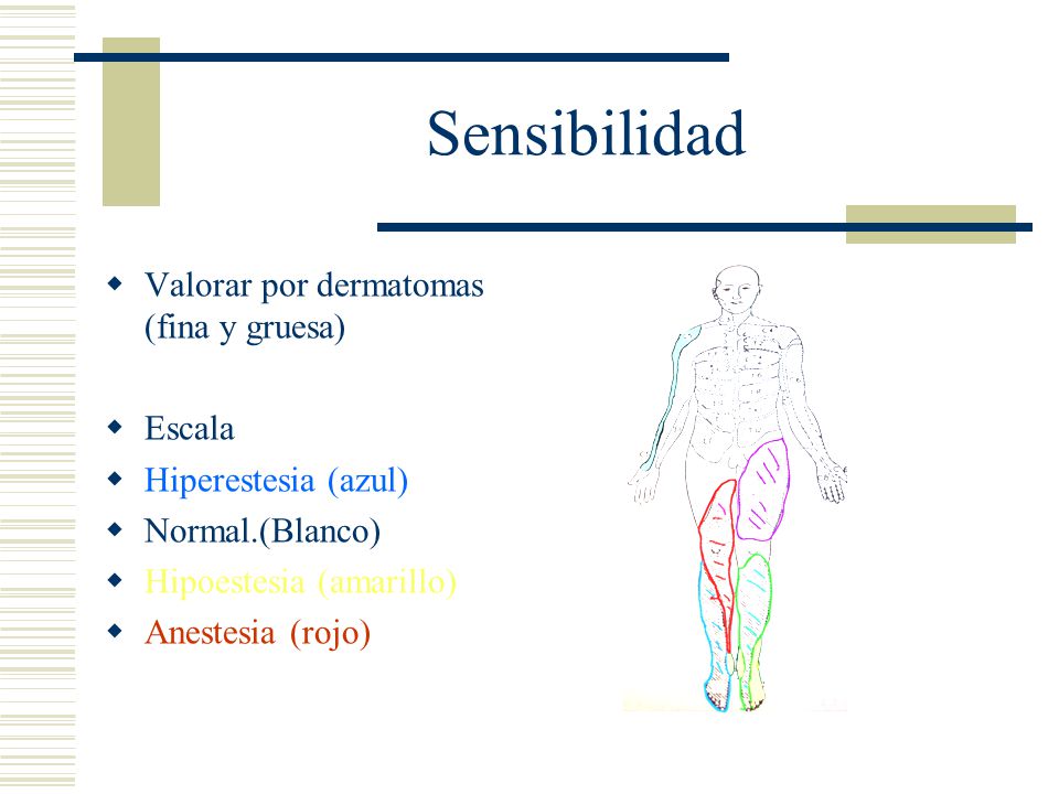Sensibilidad Valorar por dermatomas (fina y gruesa) Escala
