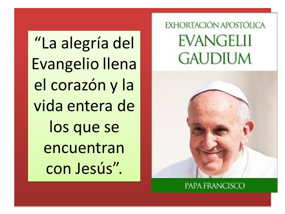 La alegría del Evangelio llena el corazón y la vida entera de los que se encuentran con Jesús .