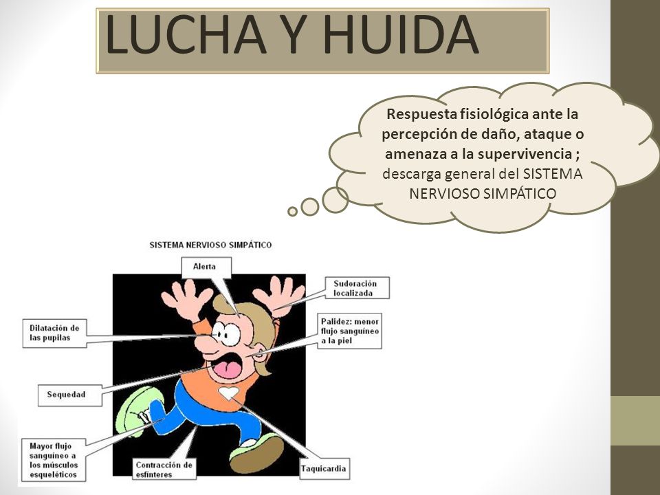 LUCHA Y HUIDA Respuesta fisiológica ante la percepción de daño, ataque o amenaza a la supervivencia ; descarga general del SISTEMA NERVIOSO SIMPÁTICO.