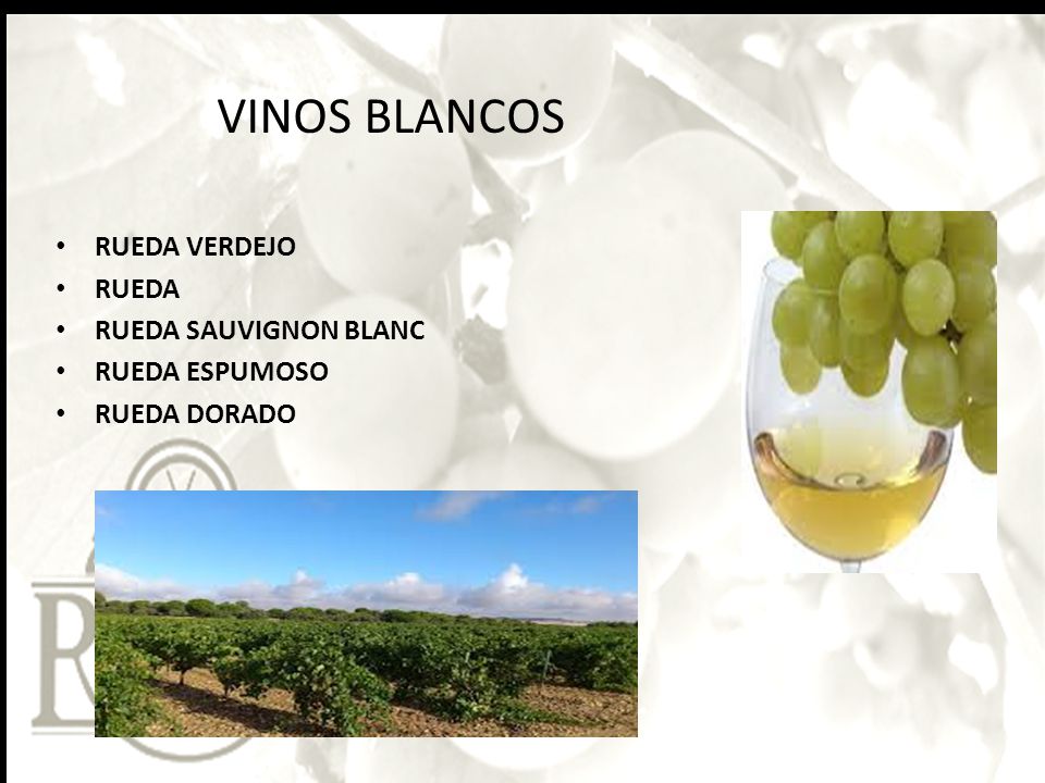VINOS BLANCOS RUEDA VERDEJO RUEDA RUEDA SAUVIGNON BLANC RUEDA ESPUMOSO