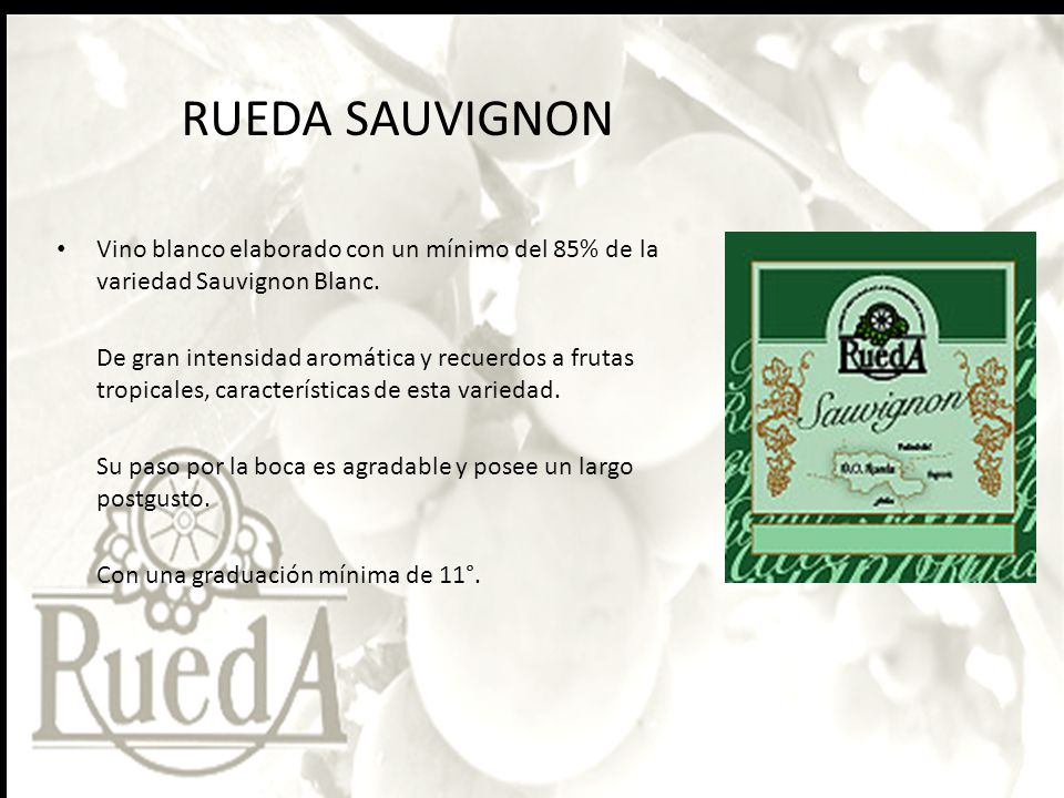 RUEDA SAUVIGNON Vino blanco elaborado con un mínimo del 85% de la variedad Sauvignon Blanc.