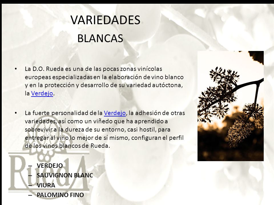 VARIEDADES BLANCAS.