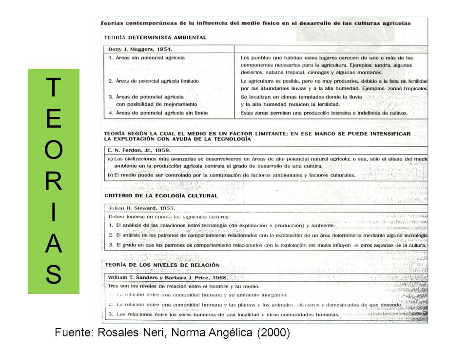 T E O R I A S Fuente: Rosales Neri, Norma Angélica (2000)