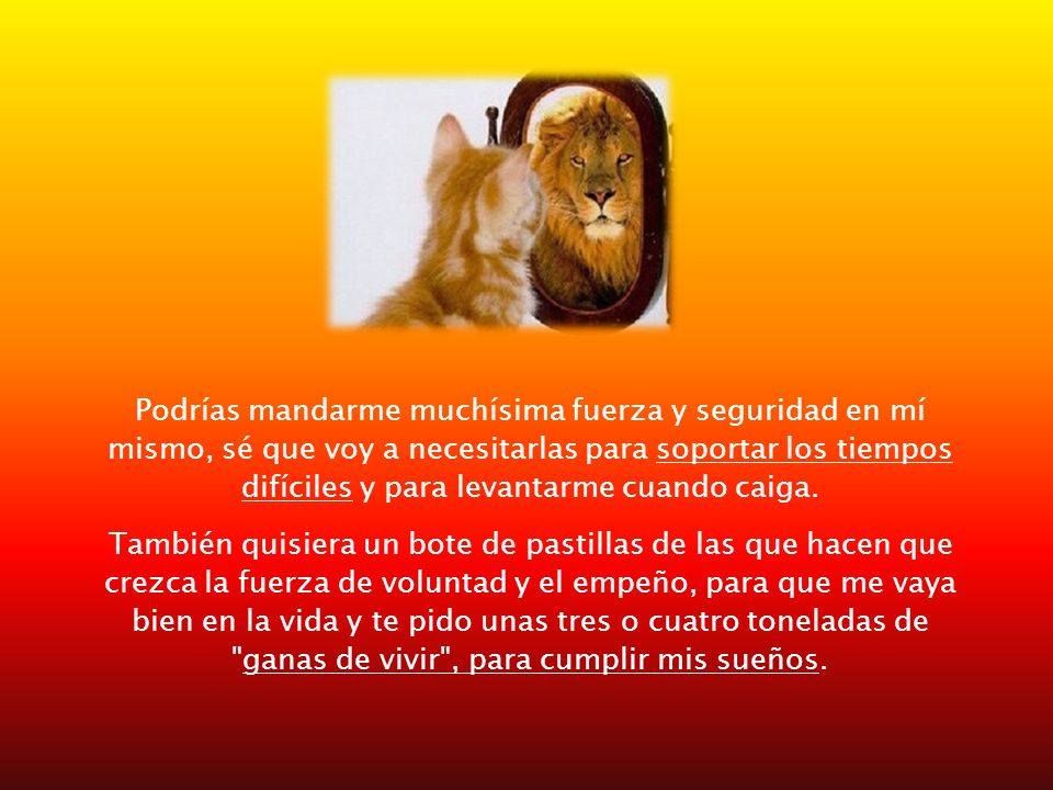 Podrías mandarme muchísima fuerza y seguridad en mí mismo, sé que voy a necesitarlas para soportar los tiempos difíciles y para levantarme cuando caiga.