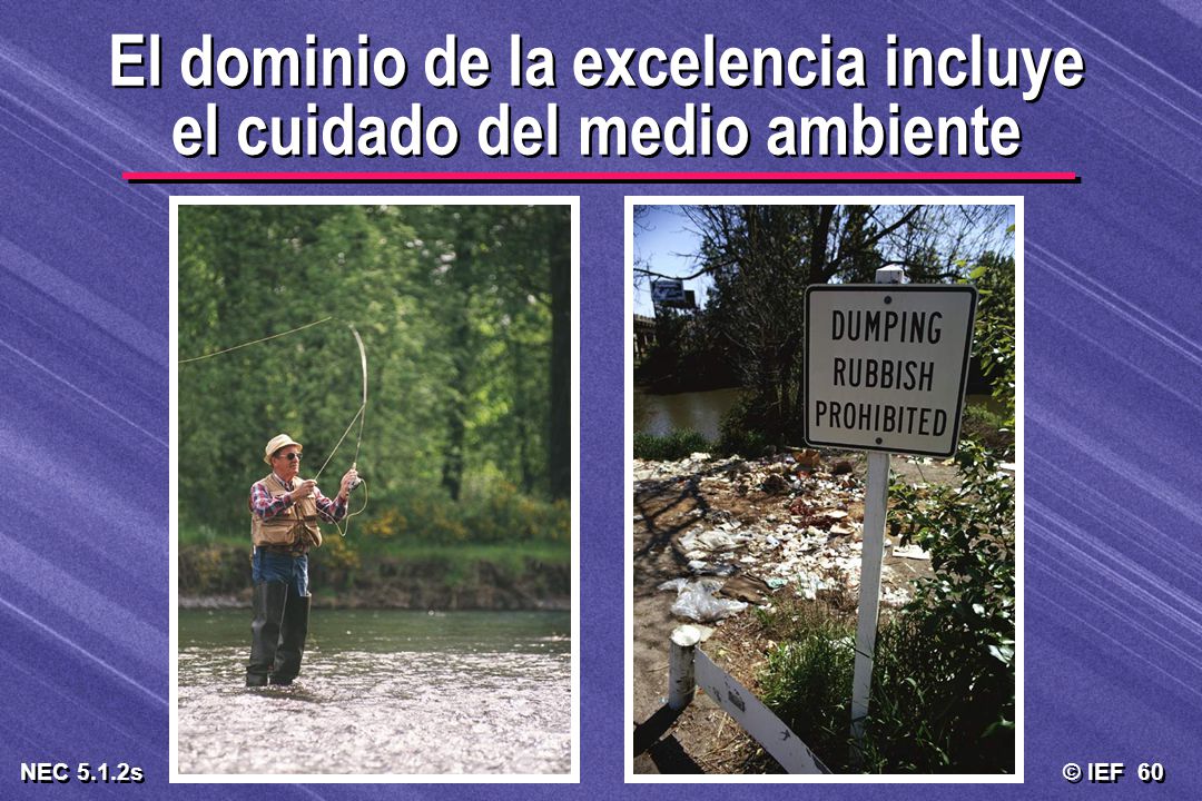 El dominio de la excelencia incluye el cuidado del medio ambiente