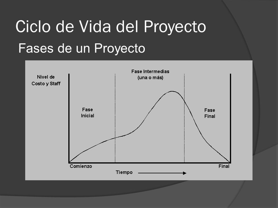 Ciclo de Vida del Proyecto