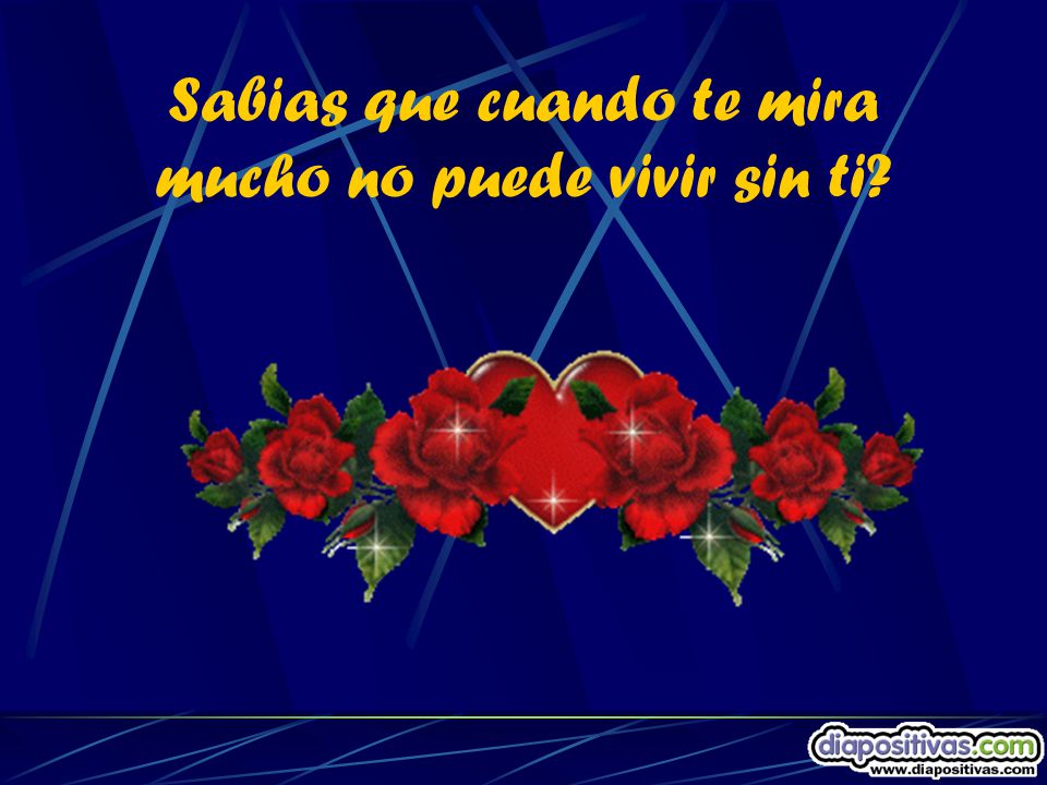 Sabias que cuando te mira mucho no puede vivir sin ti