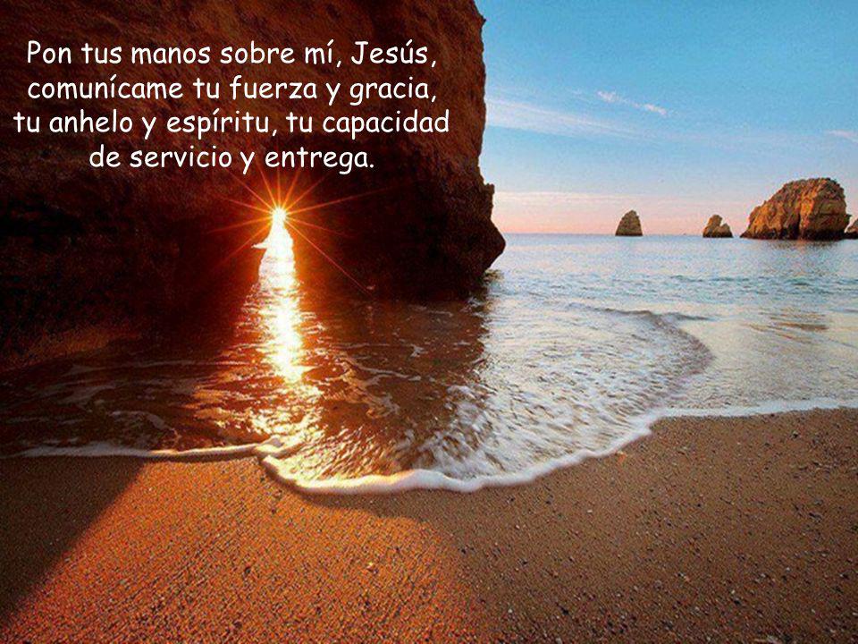 Pon tus manos sobre mí, Jesús, comunícame tu fuerza y gracia, tu anhelo y espíritu, tu capacidad de servicio y entrega.
