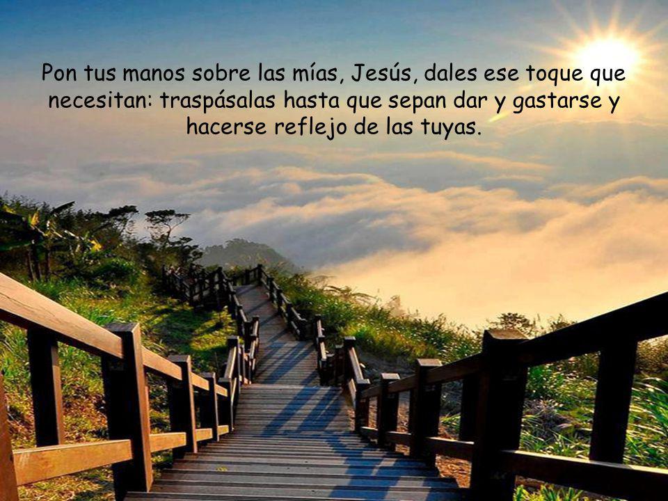 Pon tus manos sobre las mías, Jesús, dales ese toque que necesitan: traspásalas hasta que sepan dar y gastarse y hacerse reflejo de las tuyas.