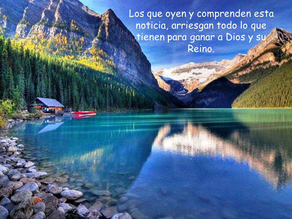 Los que oyen y comprenden esta noticia, arriesgan todo lo que tienen para ganar a Dios y su Reino.