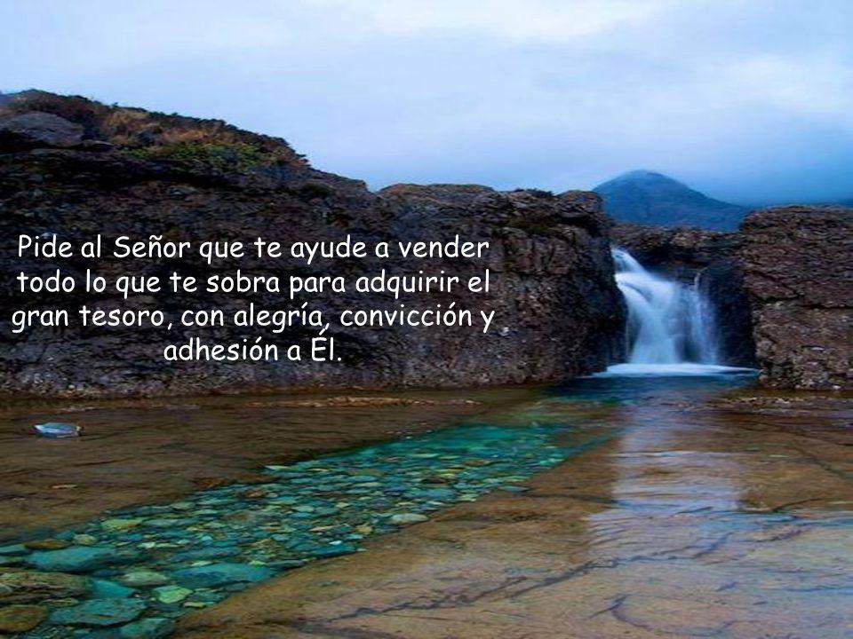 Pide al Señor que te ayude a vender todo lo que te sobra para adquirir el gran tesoro, con alegría, convicción y adhesión a Él.