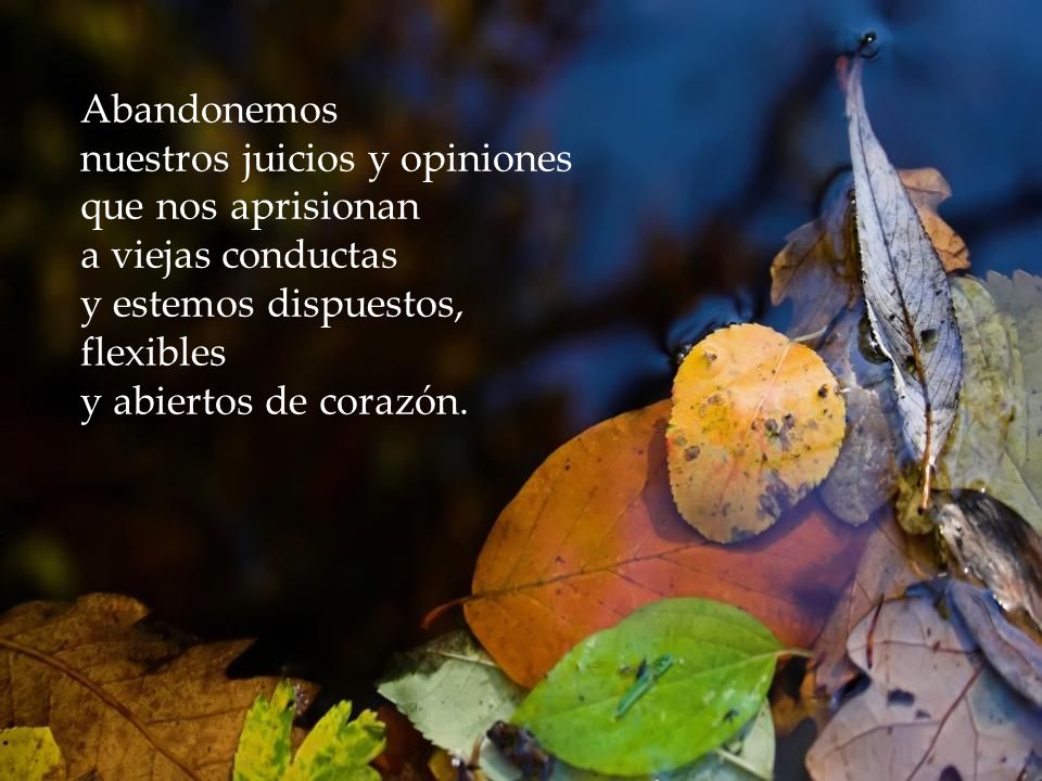 nuestros juicios y opiniones que nos aprisionan a viejas conductas