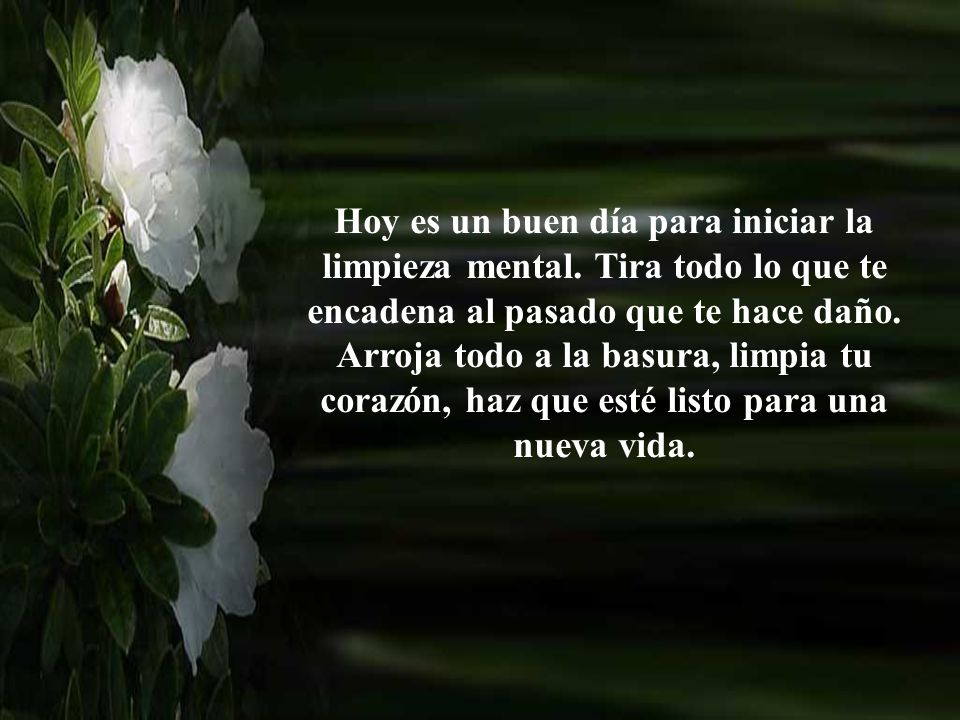 Hoy es un buen día para iniciar la limpieza mental