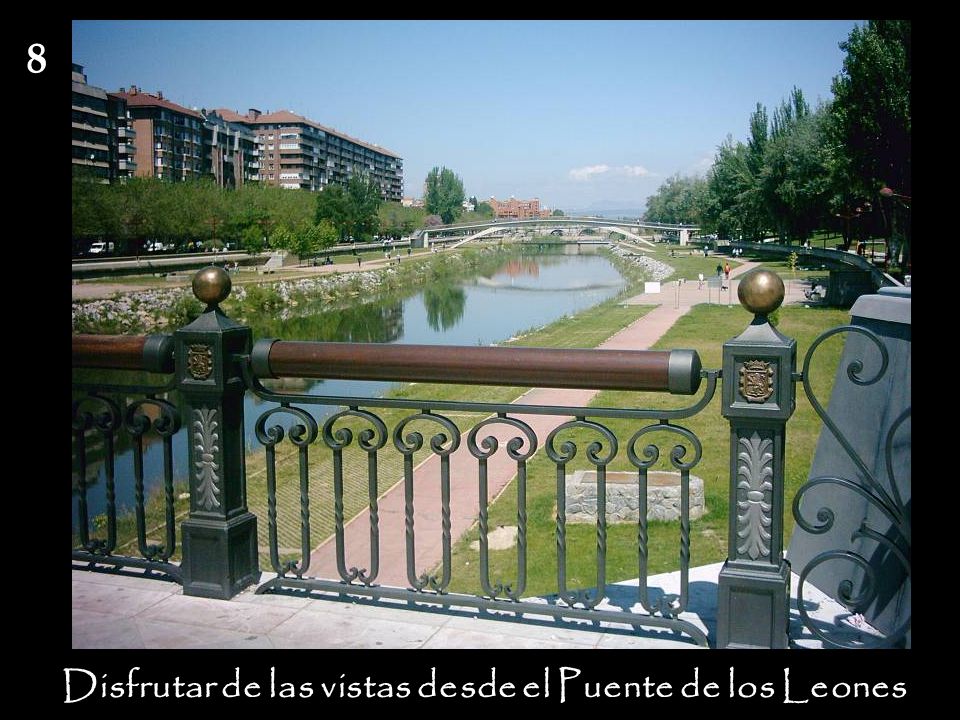 Disfrutar de las vistas desde el Puente de los Leones