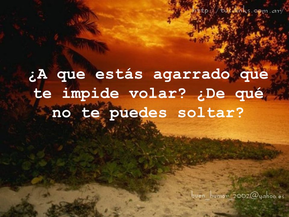 ¿A que estás agarrado que te impide volar ¿De qué no te puedes soltar