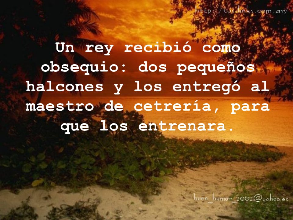 Un rey recibió como obsequio: dos pequeños halcones y los entregó al maestro de cetrería, para que los entrenara.