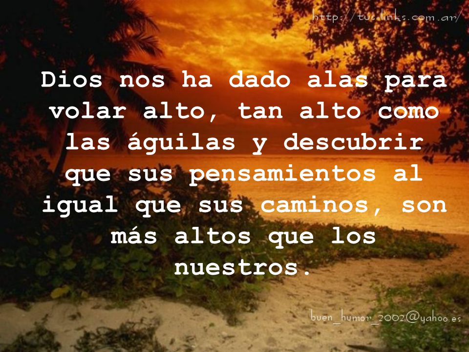 Dios nos ha dado alas para volar alto, tan alto como las águilas y descubrir que sus pensamientos al igual que sus caminos, son más altos que los nuestros.