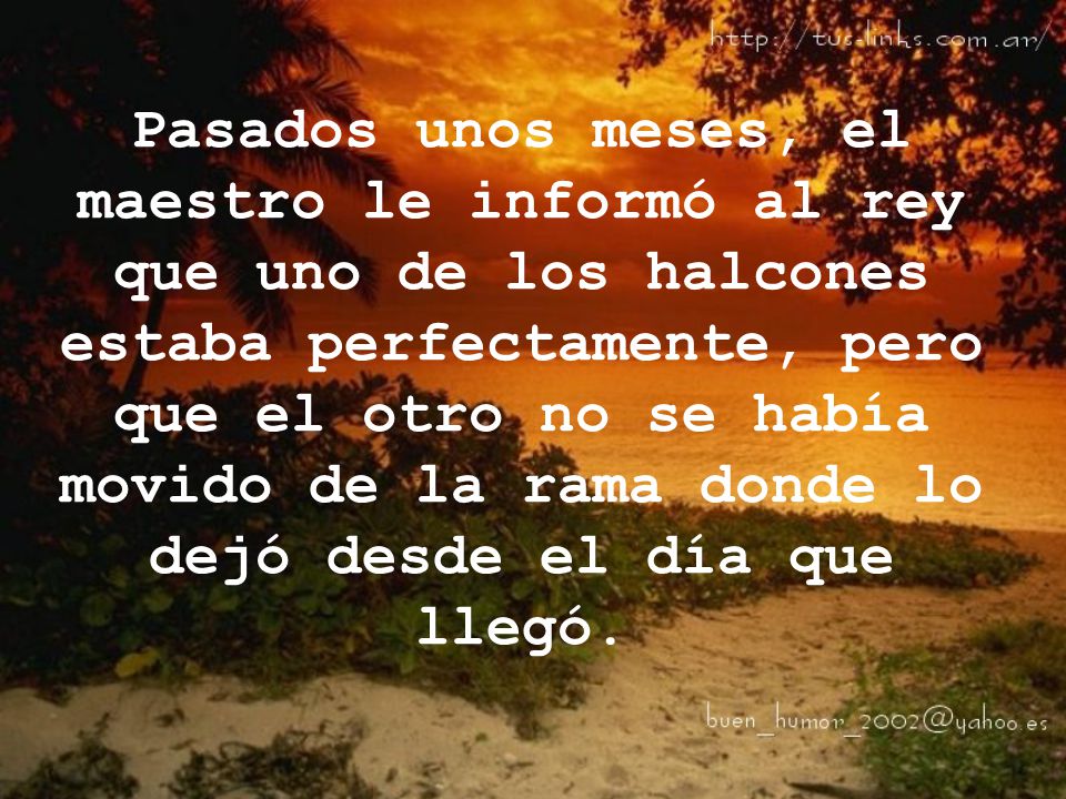 Pasados unos meses, el maestro le informó al rey que uno de los halcones estaba perfectamente, pero que el otro no se había movido de la rama donde lo dejó desde el día que llegó.