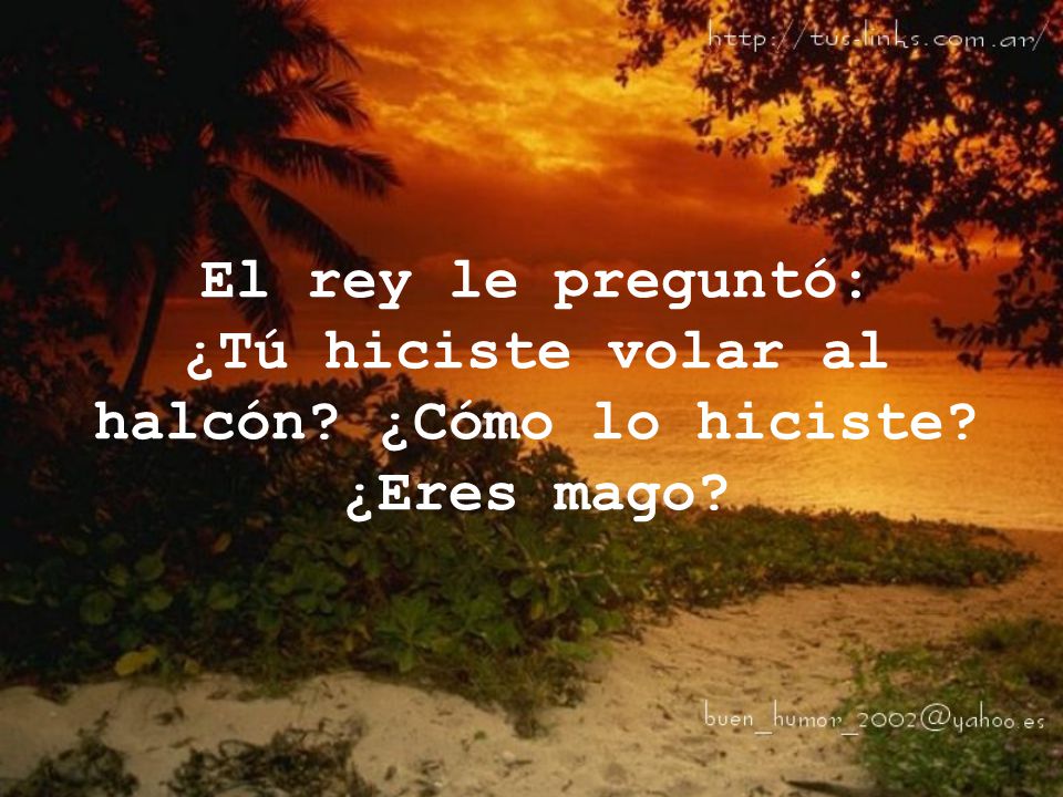 El rey le preguntó: ¿Tú hiciste volar al halcón. ¿Cómo lo hiciste
